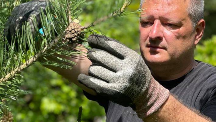 Team Tatendrang GmbH & Co. KG