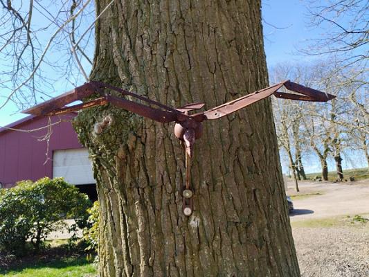 Gartengestaltung Hardinghaus