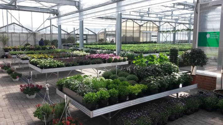 Gärtnerei Gartenbau Hölscher