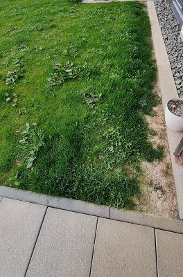 Sinani – Gärten & mehr...