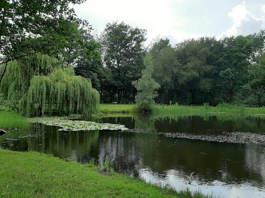 Dorfteich