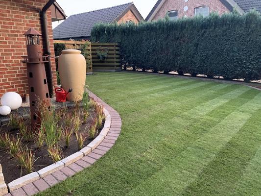 Bentheimer Rollrasen