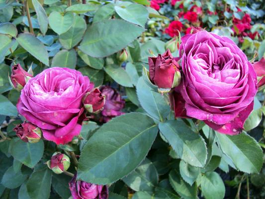 682ebcd88239f