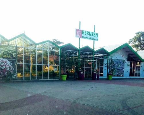 Blumen & Ideen Bernzen