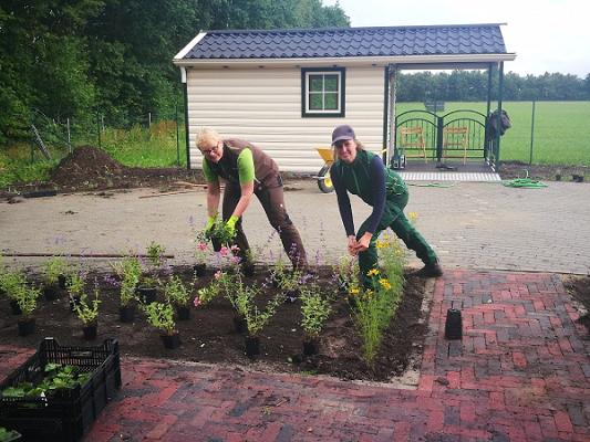 Grünprojekt Geist & Garten