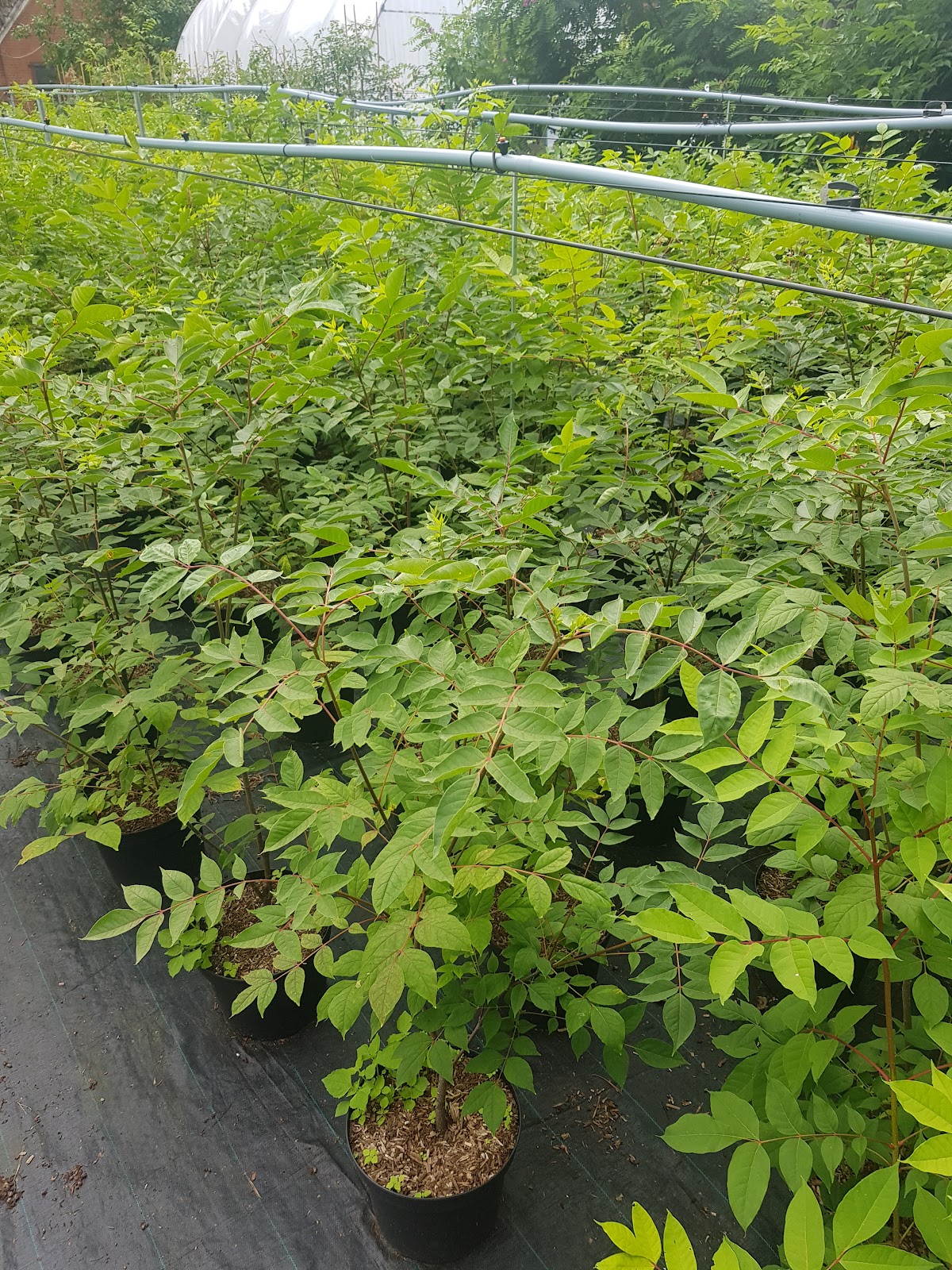 682ebd4ab2749