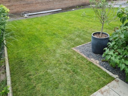 Allround-Service Kamp