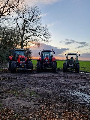 Boomkwekerij Holtslag