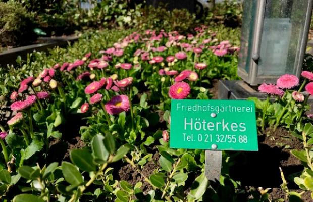 Hoeterkes