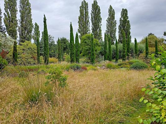 HORTVS Peter Janke Gartenkonzepte