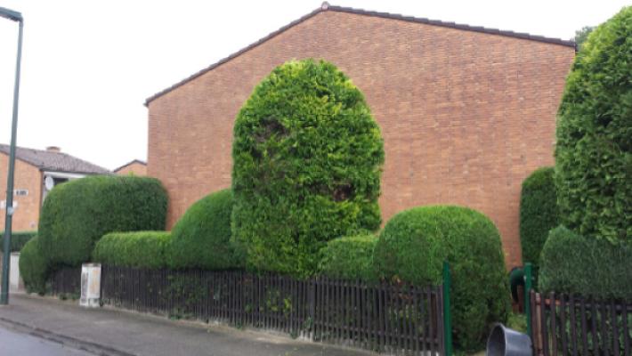 Garten- und Landschaftsbau - Markus Gottschlich