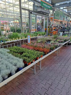 OBI Gartenplaner Hilden