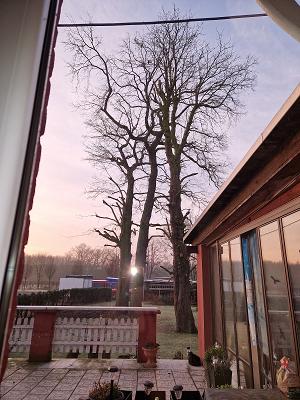 MA Garten und Landschaftsbau