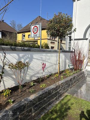 Kultgarten