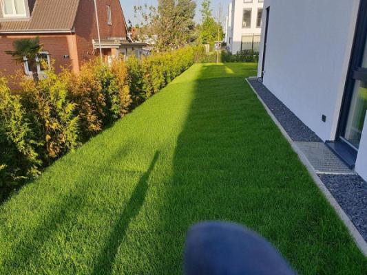 Profi Garten und Landschaftsbau