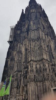 Toni Gartenbau und Baumpflege