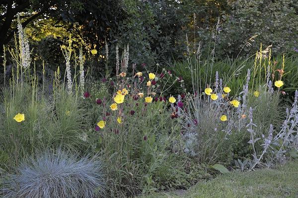 Garten-/Landschaftsbauunternehmen Garten Gröne