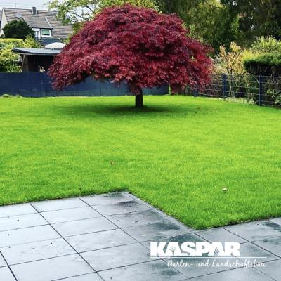 Kaspar Garten- u. Landschaftsbau