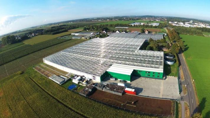 Gartenbau Bongartz GmbH