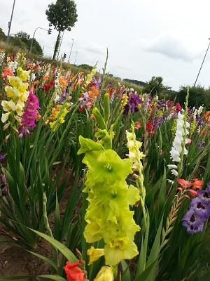 Gartengestaltung Kremer