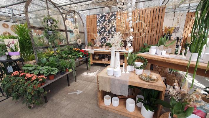 Lynders florales & mehr