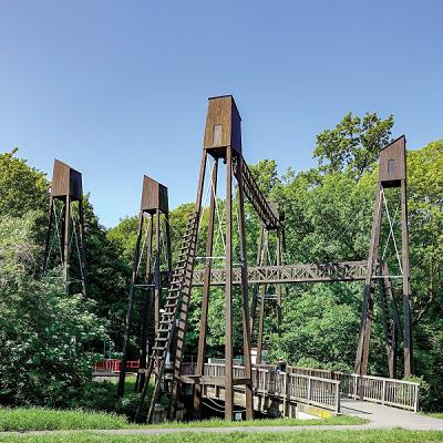 Lukas Dropko Garten- und Landschaftsbau/Baumpflege