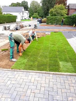 Zielinski Gartenlandschaftsbau