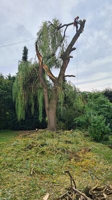 Baumpflege Johannes Burtscheidt