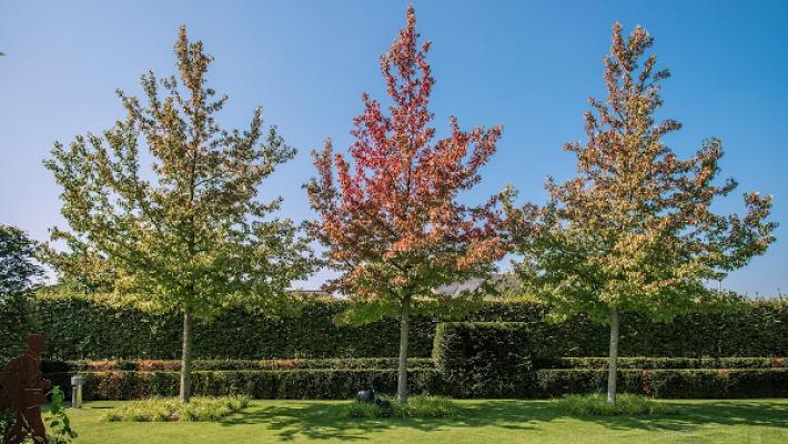 Garten- und Landschaftsbau Kleinherenbrink