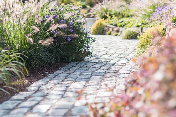 Zanders Garten- und Landschaftsbau