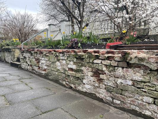 Gartenservice Fergen