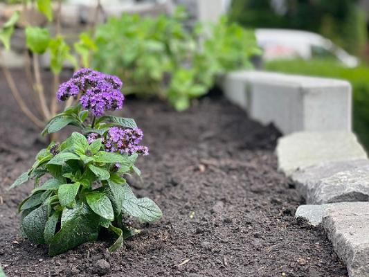 Gartengestaltung Mechler GmbH