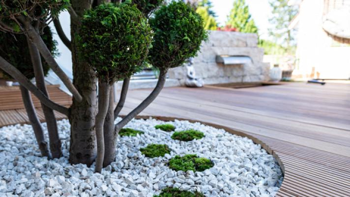 Creative Gartengestaltung - Freiraumplanung & Grünkonzepte Carsten Hotz