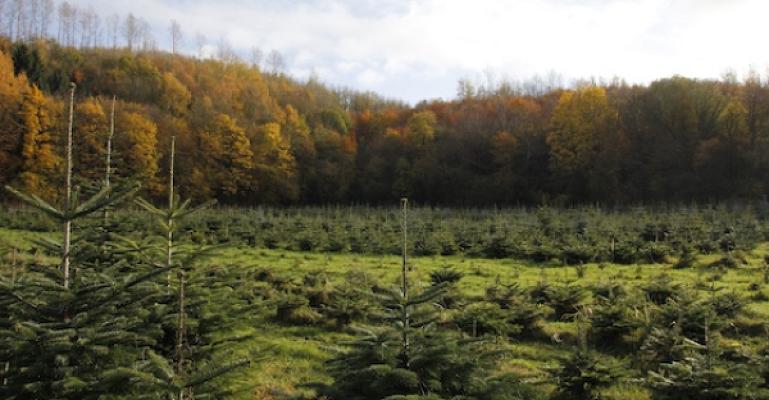 Sollazzo & Wetzel GmbH Garten- und Landschaftsbau Wülfrath