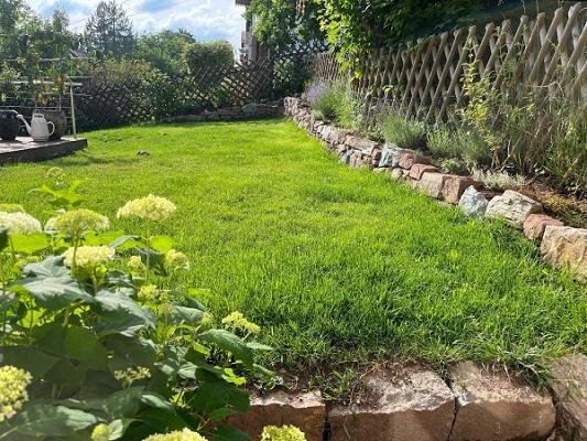 Tom Van Der Genugten Gartengestaltung