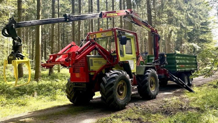 Binder Gartengestaltung und Pflege