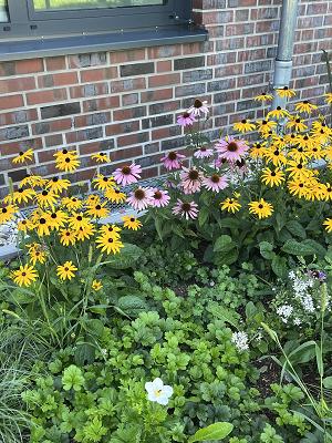 Haus & Garten Service Manten