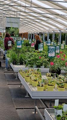 Weseler Kräuterparadies - Gärtnerei Enseleit