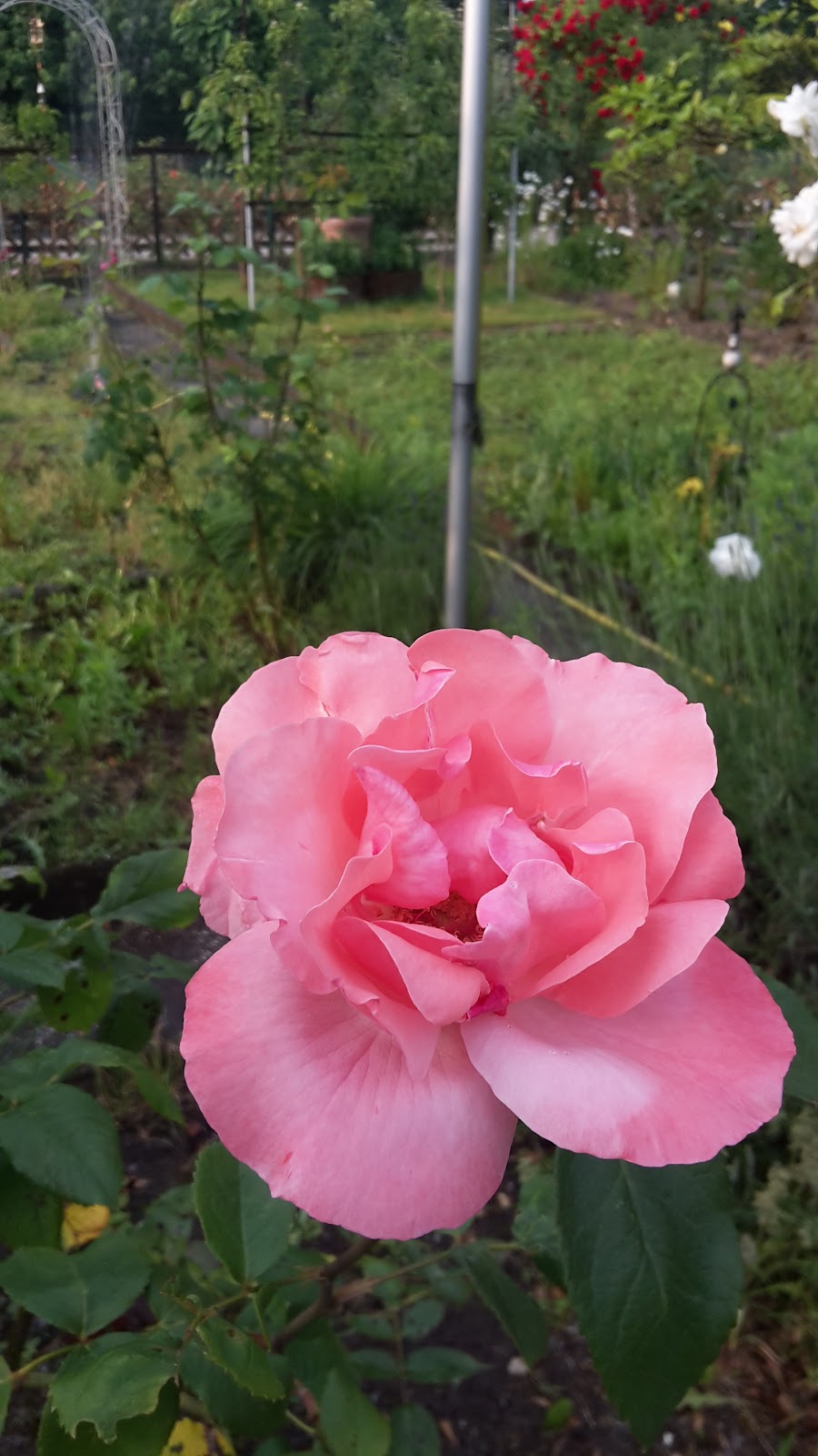 682ec2f8841ed