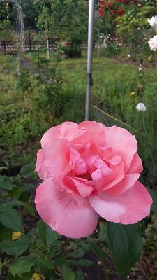 682ec2f8841ed