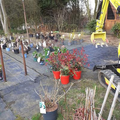 Baumschule Richter & Graeff