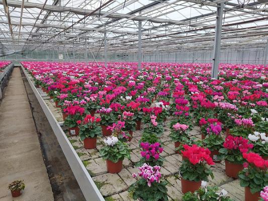 Werner Thorberger Gartenbau