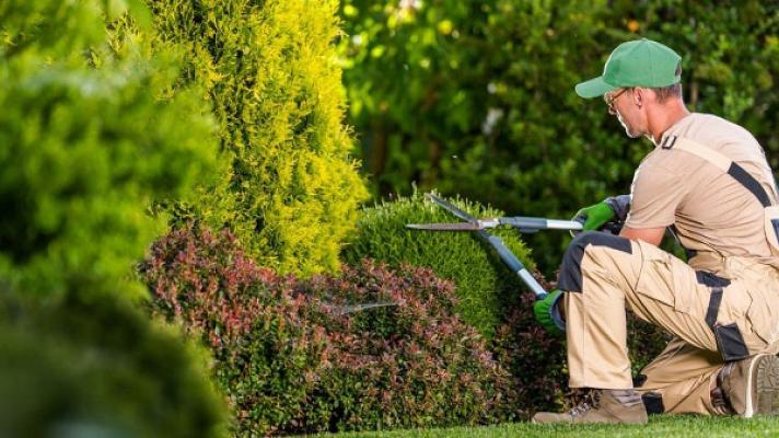 Helping Green - Gartenpflege & Landschaftsbau