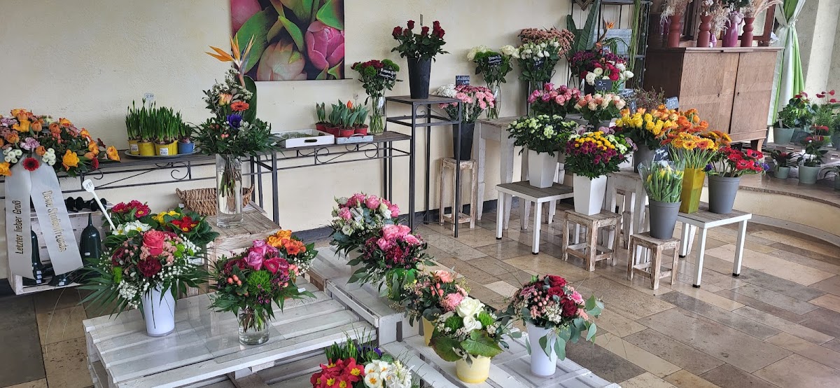 682de49f50c79