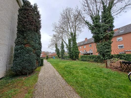 Ulrich Pfaff - Rund um den Baum - Baumpflege