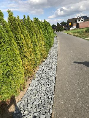 Tas Garten und Landschaftsbau Dienstleistungen rund ums Haus und Hausmeistersevice