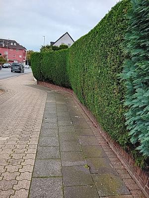 Turasa Dienstleistung