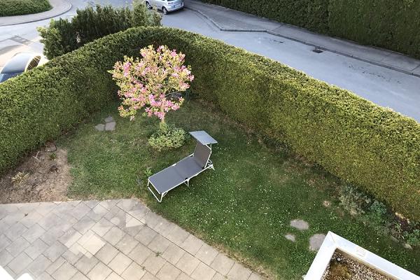 Jonas Brodmann Garten & Landschaftsbau