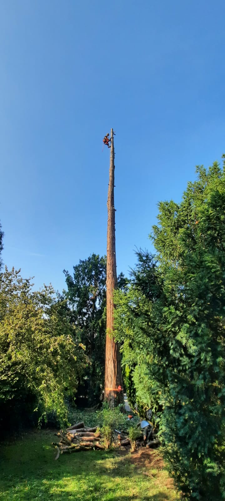 682ec4bb19329