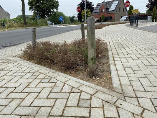 Kersten Gartenprojekte